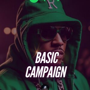 Spotify Ads Campaigns