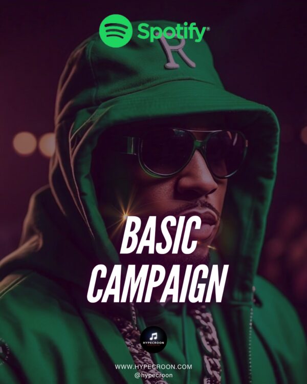 Spotify Ads Campaigns